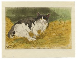 Stary czarno-biały kot w trawie autorstwa Théophile Alexandre Steinlen
