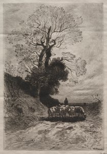 Powrót stada, ok. godz. 1870.
