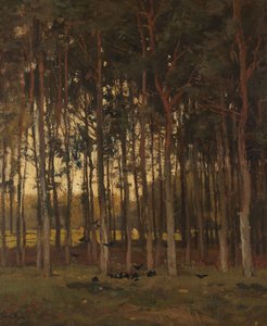 Widok w lesie autorstwa Theophile de Bock