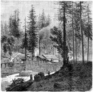 „Tartak”, Kalifornia, XIX wiek. autorstwa Theroud