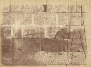 Zbliżenie na inskrypcje i rzeźby hieroglificzne (lista pokonanych narodów), Karnak autorstwa Théodule Devéria