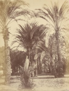 Gous autorstwa Théodule Devéria