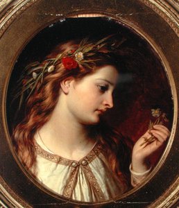 Miranda (olej na pokładzie)