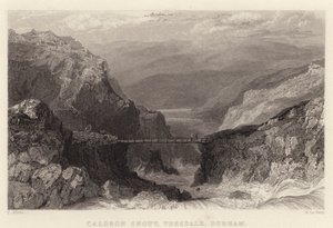 Pysk Caldron, Teesdale, Durham (grawerowanie) autorstwa Thomas (after) Allom