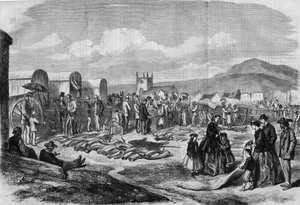 Rynek kości słoniowej i skór w Grahamstown, Albania, Cape Colony autorstwa Thomas (after) Baines