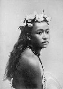 Samoaczka z koronką z kwiatów hibiskusa, 1902