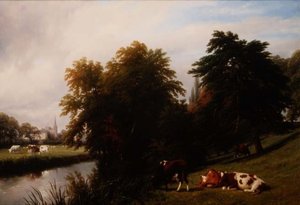 Bydło wypasane nad rzeką