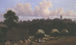 Scena żniwa
