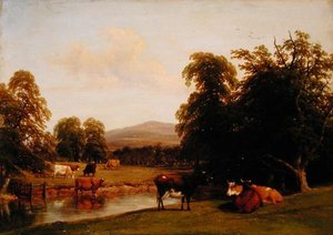 Scena w Enville autorstwa Thomas Baker