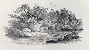 Zakręt w rzece z „Historia ptaków brytyjskich, tom 2: Ptaki wodne”, 1804