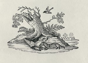 Cywet z Kogucikiem z „Historii czworonogów”, 1790