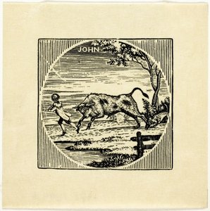 Książka ilustracja autorstwa Thomas Bewick
