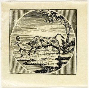 Książka ilustracja autorstwa Thomas Bewick