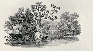 Gra na łososiu z „Historii brytyjskich ptaków i czworonogów” autorstwa Thomas Bewick