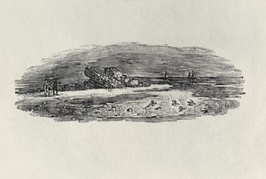 Skały z żeglugą przybrzeżną, c. 1801 z „Water Birds”, wydana 1804 (drewno) autorstwa Thomas Bewick