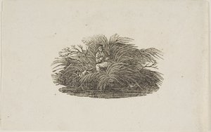 Końcówka: człowiek w krzaku autorstwa Thomas Bewick