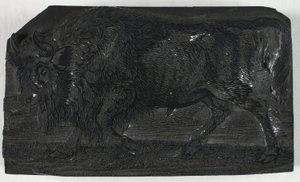 Woodblock do The Urus lub Wild Bull, z Ogólnej historii czworonogów