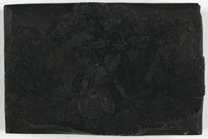 Woodblock dla kobiety zbierającej kwiaty autorstwa Thomas Bewick