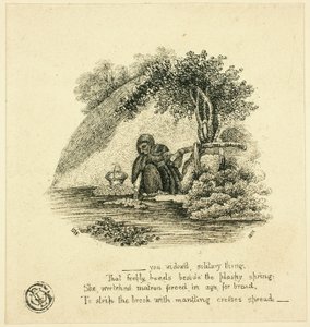 ...Ty samotna wdowo autorstwa Thomas Bewick