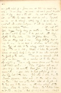 Dzienniki Thomasa Butlera Gunna autorstwa Thomas Butler Gunn