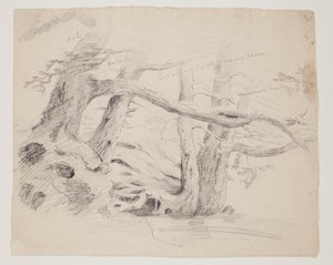 Dąb i Hemlock Trees (ołówek na papierze) autorstwa Thomas Cole