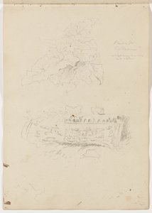 Roślina w Koloseum; fragment architektury autorstwa Thomas Cole