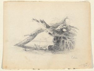 Szkic dwóch martwych drzew autorstwa Thomas Cole