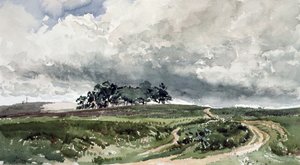 Scena wrzosowa autorstwa Thomas Collier