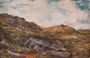 Blythburgh Common, 1888 autorstwa Thomas Collier