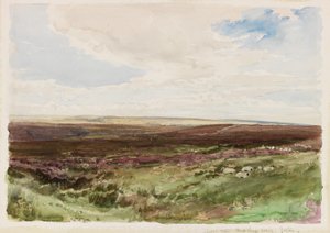 Moorland near Hart Leap Well, Yorkshire (akwarela na papierze) autorstwa Thomas Collier