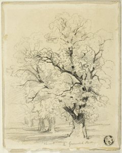 Ches[t]nut w parku Greenwich autorstwa Thomas Creswick