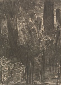 Gaj drzew