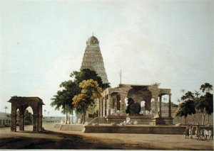 Wielki byk, bożek hinduski, At Tanjore, tablica XXII z 