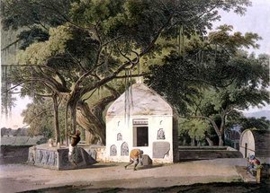 Święte Drzewo Hindusów w Gyah, Bahar, z książki „Orientalna sceneria: dwadzieścia cztery widoki w Hindoostanie” autorstwa Thomas Daniell