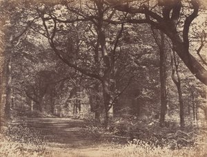 Scena z drewna, Norton, Cheshire, 1856.