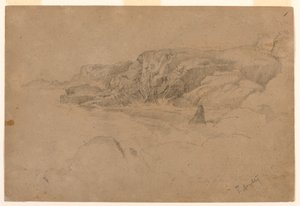 Studiuj z natury autorstwa Thomas Doughty