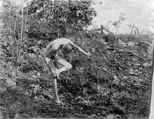 Ściągacz cierni, c. 1883. autorstwa Thomas Eakins