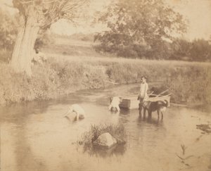 [Trzy dzieci i pies bawiące się w potoku, 4 lipca 1883, 1883., 1883. autorstwa Thomas Eakins