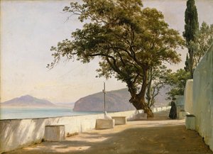 Taras z dębem, Sorrento autorstwa Thomas Fearnley