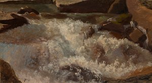 Dzika woda. studia przyrodnicze autorstwa Thomas Fearnley