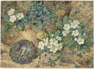 Martwa natura ptasiego gniazda, fiołków, pierwiosnków i kwiatu jabłoni autorstwa Thomas Frederick Collier