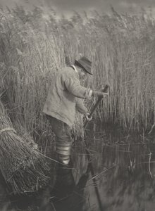 Trzciniarka przy pracy, 1886 r. (zdjęcie)