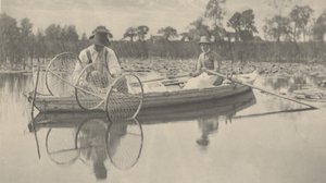 Ustawianie sieci łuczniczej, 1886 (zdjęcie)