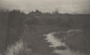 Obrzeża bagien, 1886 (zdjęcie)