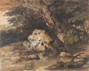 Leśny basen ze skałami i roślinami autorstwa Thomas Gainsborough