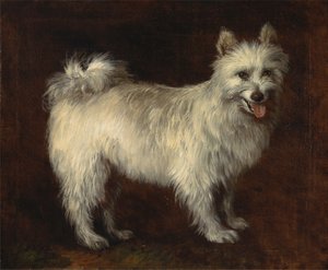 szpic pies autorstwa Thomas Gainsborough