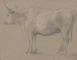 Studium krowy autorstwa Thomas Gainsborough