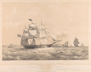 Klipery w handlu chińskim: były jacht "Falcon" i inne klipery na chińskim wybrzeżu. autorstwa Thomas Goldsworth Dutton