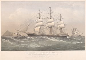 Statki Albion Shipping Company (kolorowa litografia) autorstwa Thomas Goldsworth Dutton