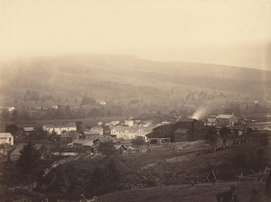 Olifant, ok. 1863-1865.